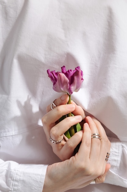 Photo female hands with rings holds purple tulip on gray background