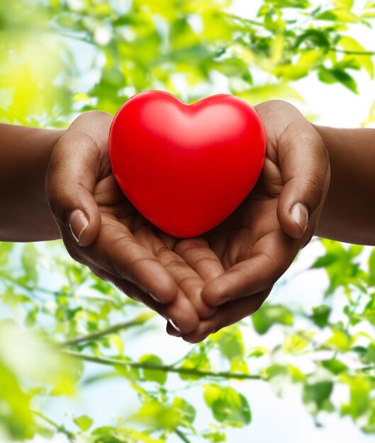 Foto mani femminili con un piccolo cuore rosso