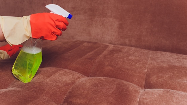 female hands with a spray cleaning couch