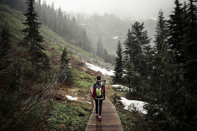 Female hiker walking on boardwalk in the forest