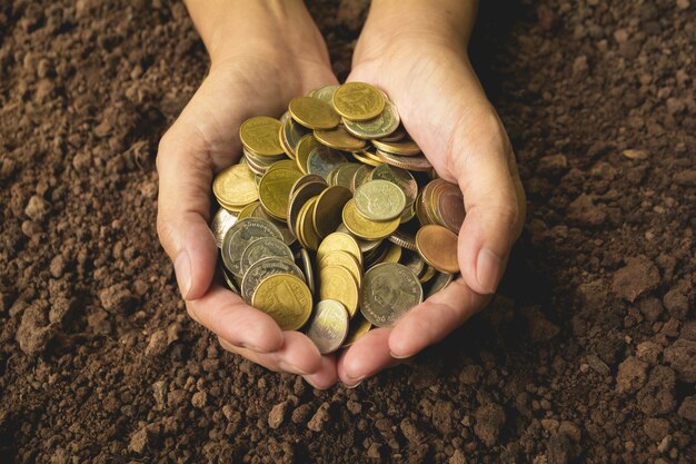 Female holding money gold coins in hand for financial and saving money concept.