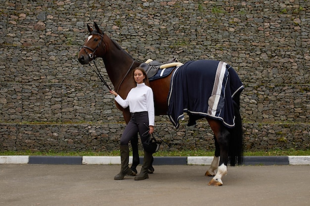 安定した茶色のサラブレッド種の馬と一緒に行く女性の騎手動物の世話の概念田舎の休息とレジャーグリーンツーリズムのアイデアヘルメットと制服を着た若いヨーロッパの女性