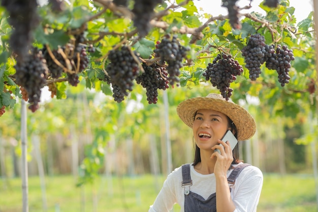 携帯電話を使ってブドウを注文する庭の女性。