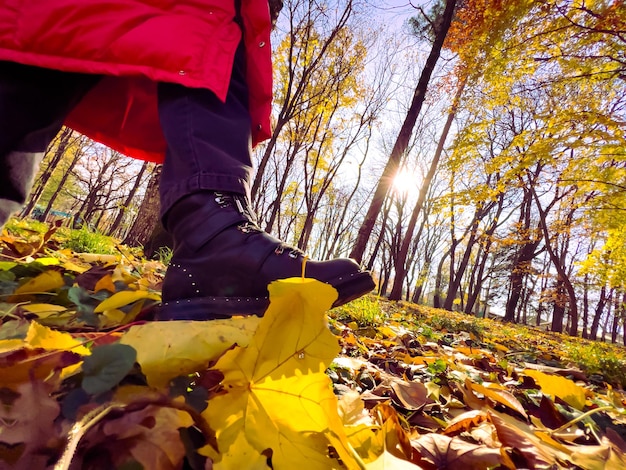 Female legs in boots on autumn leaves Kicking dry leaves in park