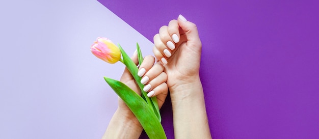 Female manicure on a bright background. Purple background with flowers. Banner.