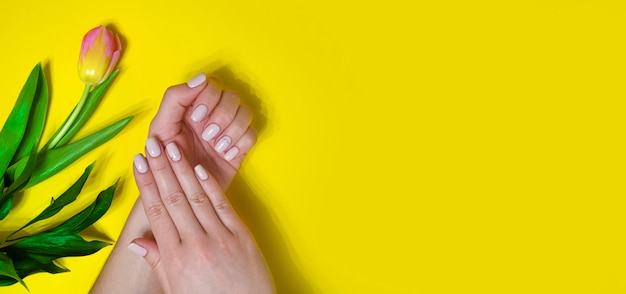 Photo female manicure on a bright background. yellow background with tulips. place for an inscription. banner.