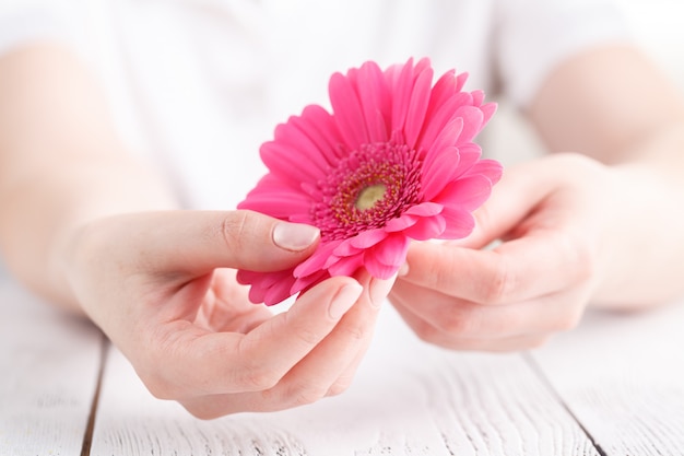 Female medical care concept, pink flower gerbera in hand