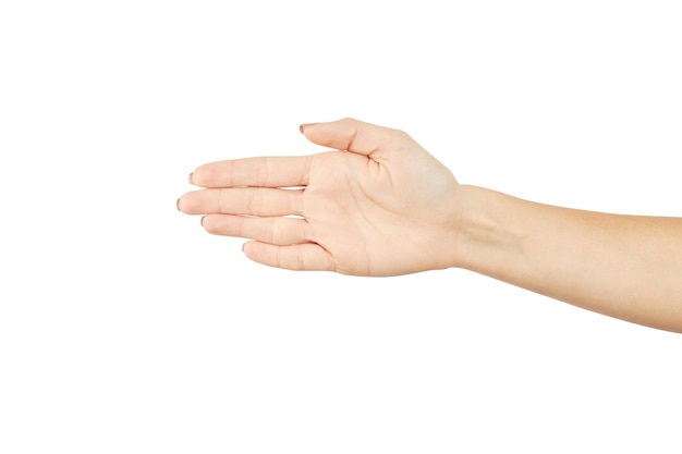 A female person showing open palm isolated on white