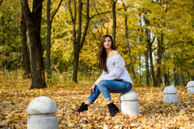 Female portrait. Young woman in casual wear posing in autumn forest with yellow leaves