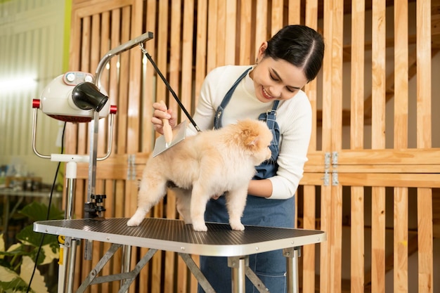 Female professional groomer combing dog fur at pet spa grooming salon