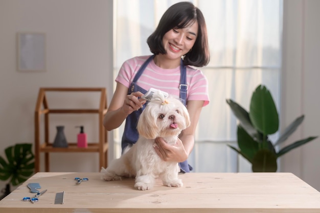 女性のプロのグルーマーがペットスパのグルーミングで犬の毛皮をカットし,カミングしています