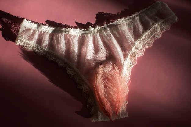 Photo female reproductive system concept with feathers