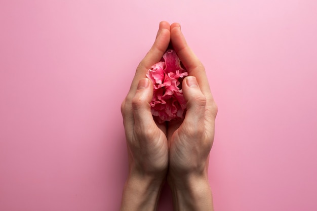 Foto concetto di sistema riproduttivo femminile con le mani che tengono il fiore