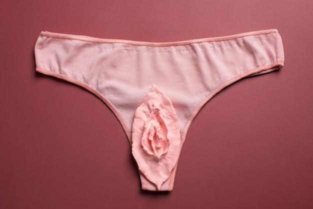 Female reproductive system concept with  underwear