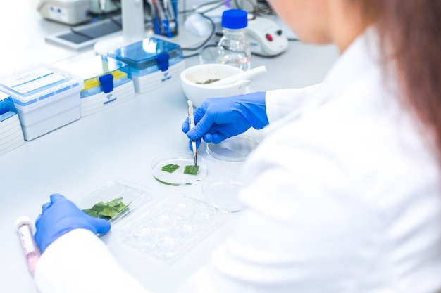 female researcher developing new bio pharmacy medicine from the nature concept of develop pills