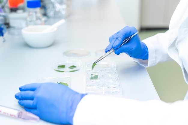 female researcher developing new bio pharmacy medicine from a nature concept of develop pills