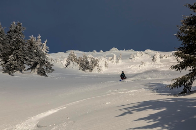 A female rider on a snowboard freeriding on a snowy slope in a backcountry alpine terrain in white mountains