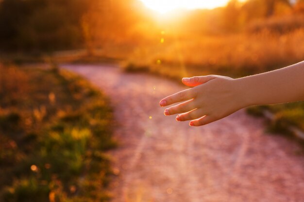 Female's hand on background of the park on a sunset