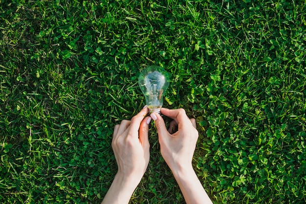 Photo female's hand holding light bulb over green grass