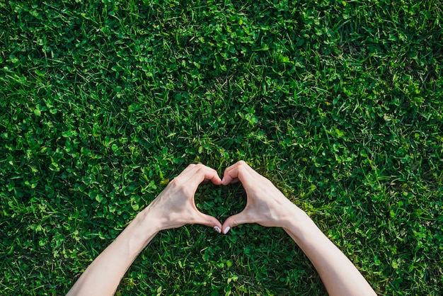 La mano della femmina che fa figura del cuore sopra erba verde