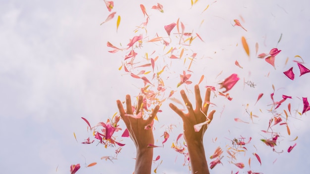 Female's hand throwing flower petals against sky in sunlight