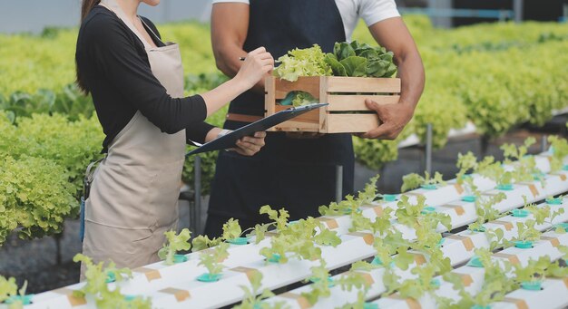 Female scientist examining a plants in greenhouse farm scientists holding equipment for research plant in organic farm quality control for hydroponics vegetable farm