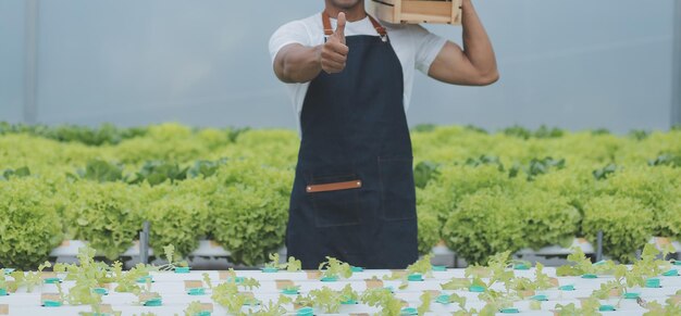 Female scientist examining a plants in greenhouse farm scientists holding equipment for research plant in organic farm quality control for hydroponics vegetable farm