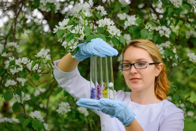 医療用手袋の女性科学者が咲く木の背景に花びらを持つテストチューブを保持します