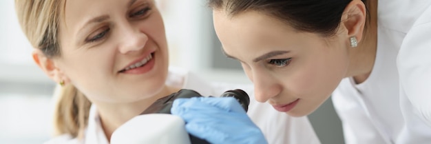 実験室の食品品質管理で顕微鏡を通して見ている女性の科学者化学者