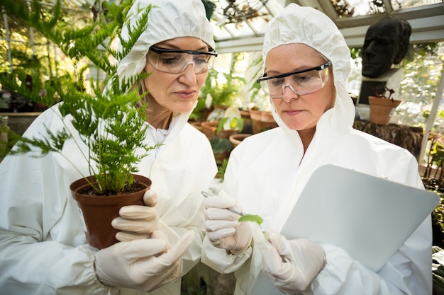 Женщины-ученые в чистых костюмах осматривают растения