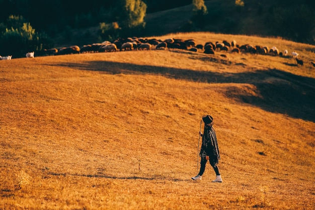 Photo female shepherd and flock of sheep at a lawn