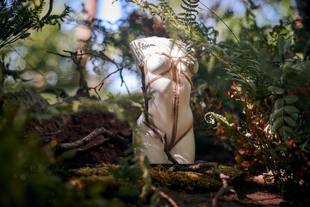 Female statue art object bound with rope in Japanese Shibari style bushes outdoor green background