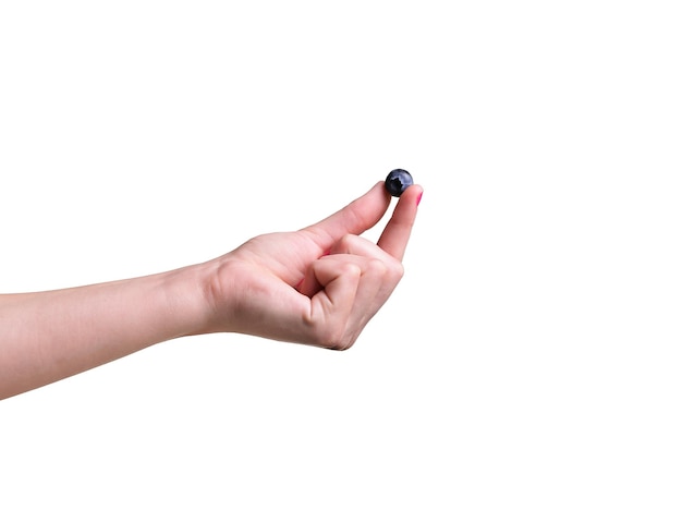 Female teen hand holding ripe blueberry isolated on white