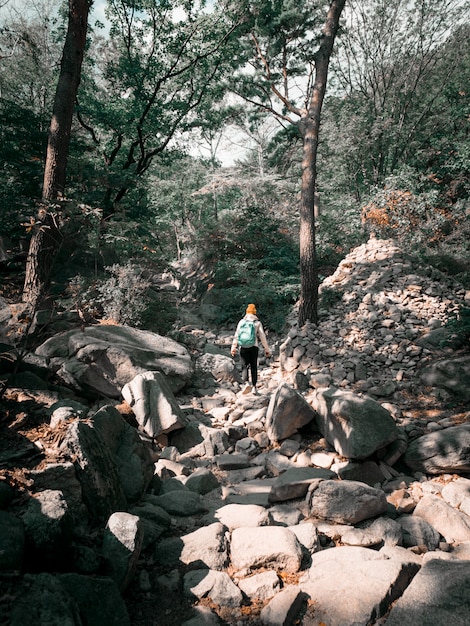 한국의 산을 여행하는 여성