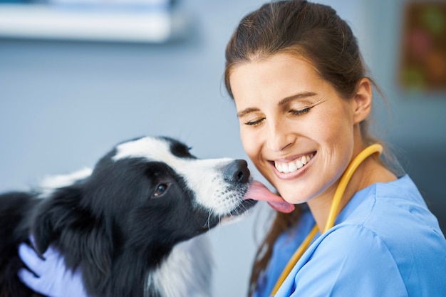 Foto veterinario femminile che esamina un cane in clinica