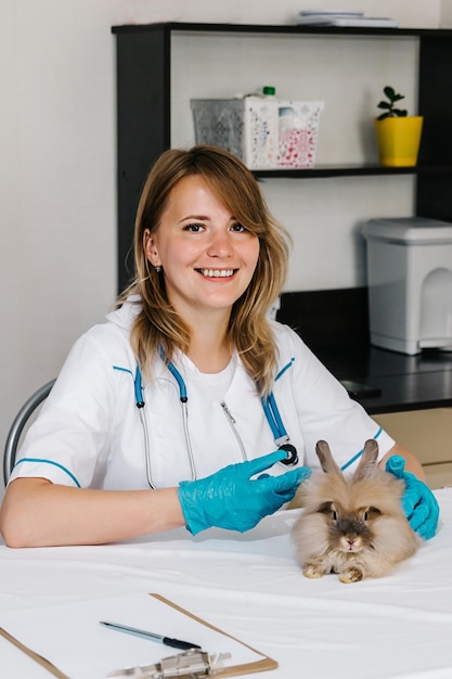 Photo a female veterinarian gives an injection to a rabbit a girl doctor injects medicine to a sick animal