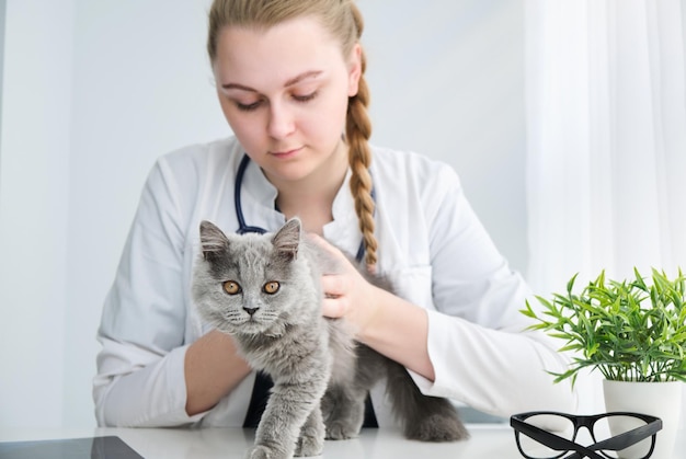 Female veterinarian holding cute cat on white background