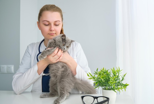 Female veterinarian holding cute cat on white background