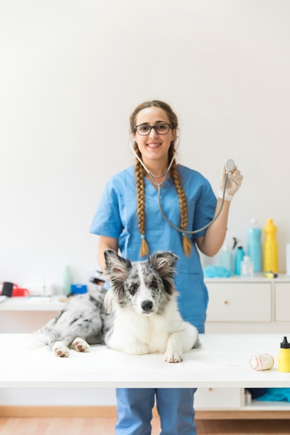 Foto stetoscopio di rappresentazione veterinario femminile che sta dietro con il cane che si siede sulla tavola in clinica