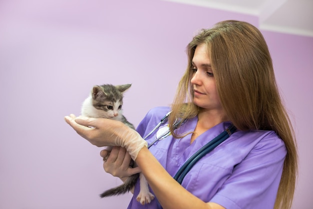 Female veterinarian with cute cat in clinicFemale veterinarian doctor is holding a cat on her hands