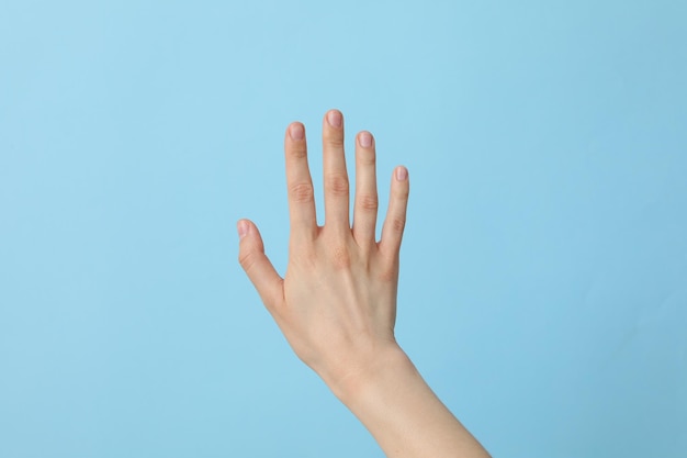 Female wellgroomed hand on a light blue background