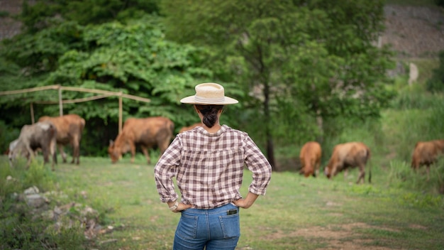 Female woman worker posing on a cow dairy farm out door ranch a\
cowshed farm