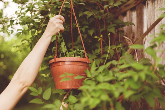 植物の花で鍋をぶら下げている女性労働者