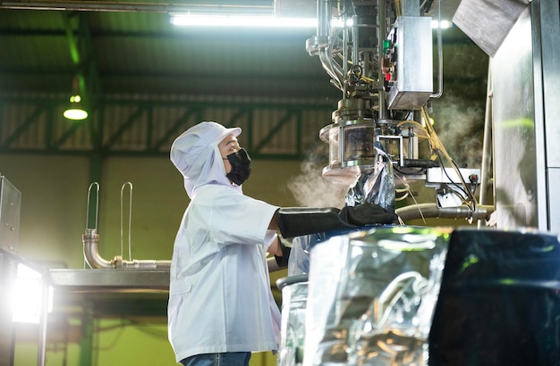 ケチャップ工場の女性労働者 アジアの食品産業の産業施設で大型バットにケチャップを充填する制御された自動無菌充填機