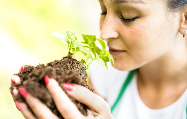 生物農場で生まれたばかりのバジル植物の世話をしている女性労働者