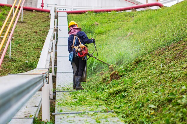 Female working wear protective clothing mows the lawn grass with a lawn mower