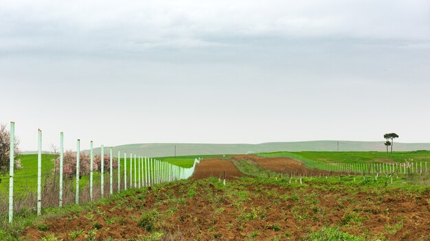 Recinzione lungo il campo seminativo