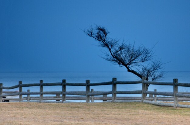 写真 晴れた空に沿って静かな海の隣のフェンスと裸の木