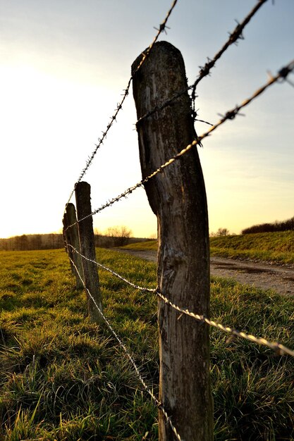 Foto recinzione nel paesaggio rurale