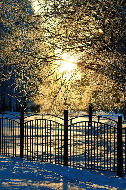 fence covered snow winter park